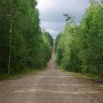 Обоснование оптимальной сети лесных дорог в Украине
